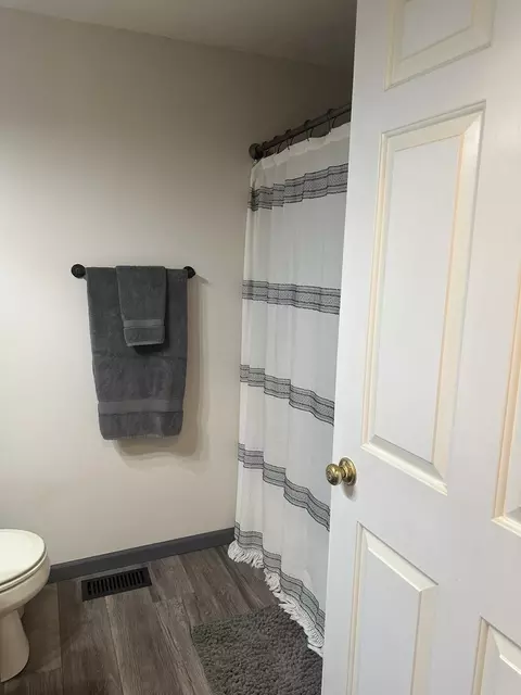 Bath - 703 Elm St, Le Roy, IL 61752 photo 2 of 5