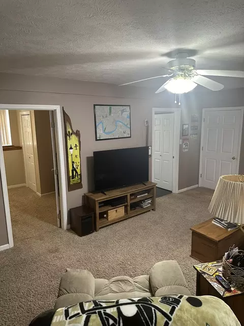 Living - 703 Elm St, Le Roy, IL 61752 photo 9 of 9