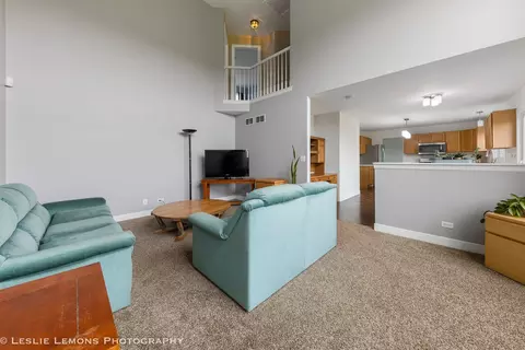 4809 Hyacinth Ct, Plainfield, IL 60586 photo 10