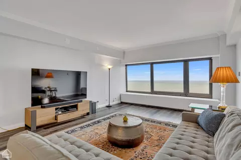 Living - 175 E Delaware Pl #5310, Chicago, IL 60611 photo 6 of 6