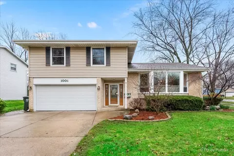 1001 E Greenwood Dr, Mount Prospect, IL 60056