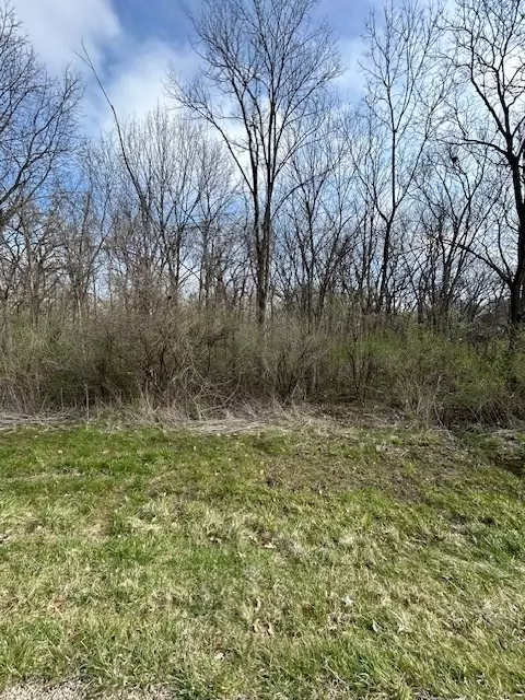 61 Timberland Dr, Putnam, IL 61560