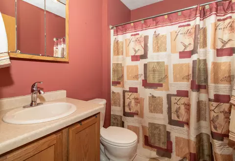 Bath - 120 N Gadwall Ln, Downs, IL 61736 photo 4 of 5