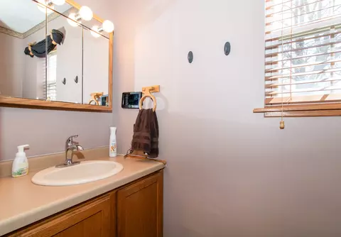 Bath - 120 N Gadwall Ln, Downs, IL 61736 photo 1 of 5