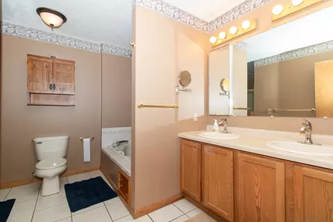 Bath - 120 N Gadwall Ln, Downs, IL 61736 photo 2 of 5