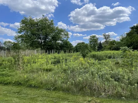 lot6 N Owl Ct, Lake Barrington, IL 60010