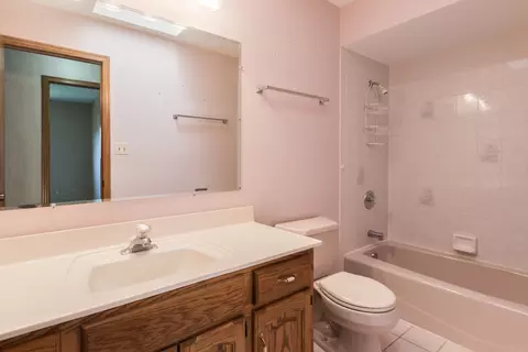 Bath - 10501 Dickens Dr, Mokena, IL 60448 photo 4 of 4
