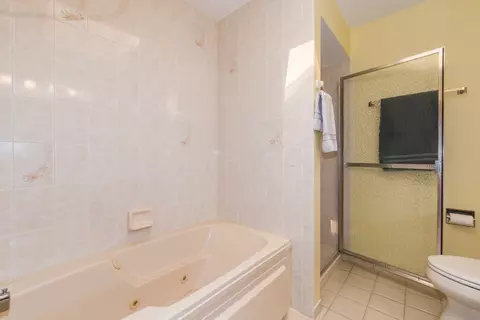 Bath - 10501 Dickens Dr, Mokena, IL 60448 photo 3 of 4