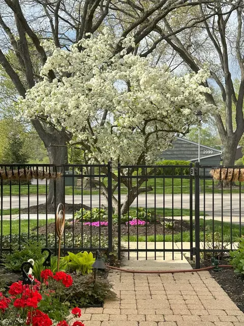 Exterior - 2098 Creekside Dr, Wheaton, IL 60189 photo 2 of 11