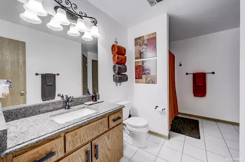 Bath - 5154 County Fair Ct, Monee, IL 60449 photo 1 of 2