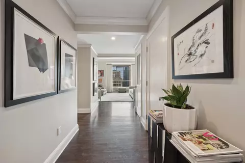 270 E Pearson St #1002, Chicago, IL 60611 photo 2