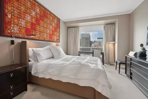 270 E Pearson St #1002, Chicago, IL 60611 photo 9