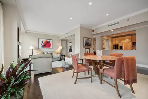270 E Pearson St #1002, Chicago, IL 60611 photo 6