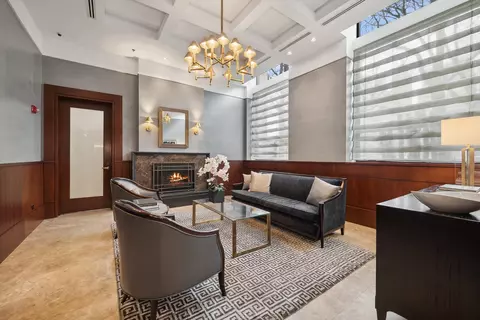 270 E Pearson St #1002, Chicago, IL 60611 photo 20