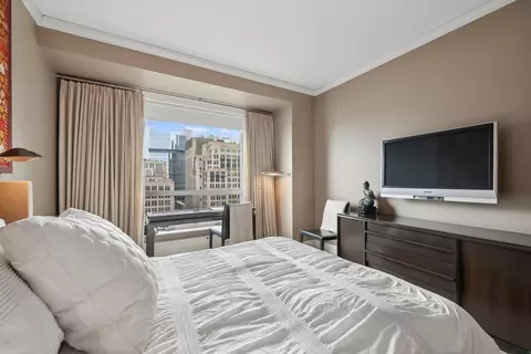 270 E Pearson St #1002, Chicago, IL 60611 photo 10
