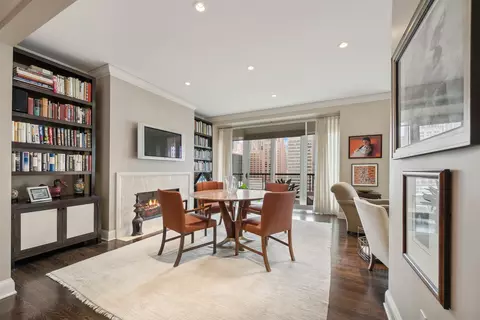 270 E Pearson St #1002, Chicago, IL 60611 photo 5