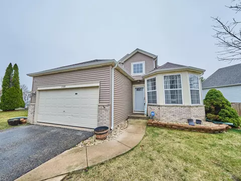 1708 Lake Pointe Dr, Plainfield, IL 60586 photo 20