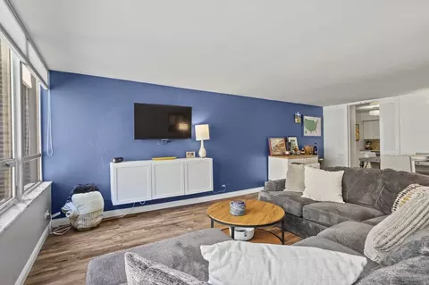201 E Chestnut St #9E, Chicago, IL 60611 photo 4