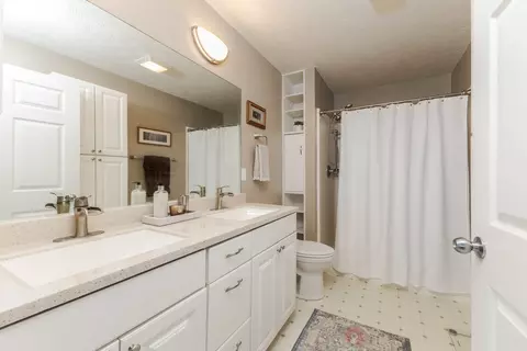 Bath - 313 Burcham Dr, Le Roy, IL 61752 photo 1 of 2