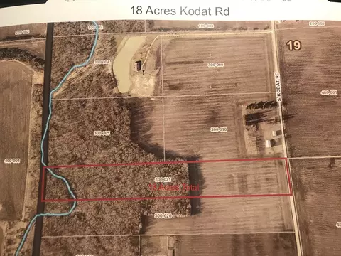 9660 Kodat Rd, Dwight, IL 60420