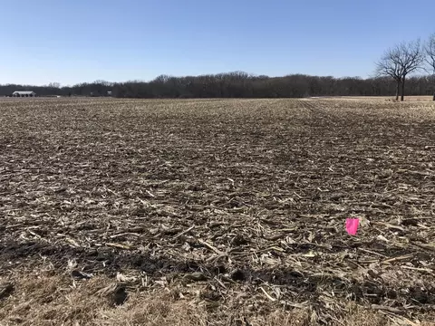 9660 Kodat Rd, Dwight, IL 60420 photo 18