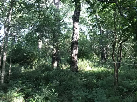 9660 Kodat Rd, Dwight, IL 60420 photo 3