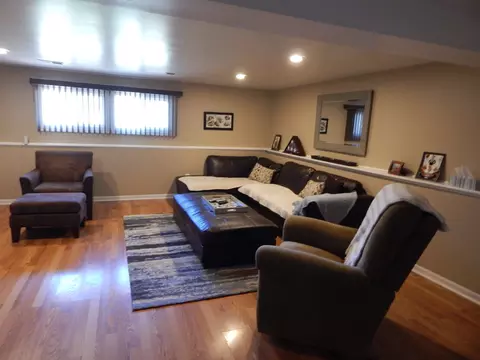 Living - 1211 Will Dr, Lockport, IL 60441 photo 5 of 6