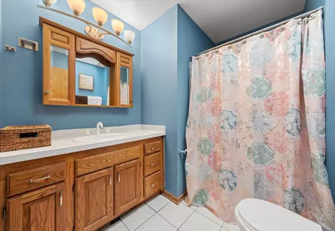 Bath - 170 Cedarwood Dr, Steger, IL 60475 photo 1 of 2