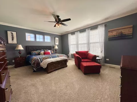 802 Feeney Dr, Minooka, IL 60447 photo 11