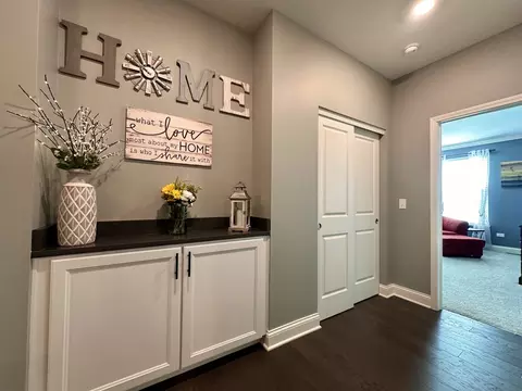 802 Feeney Dr, Minooka, IL 60447 photo 15