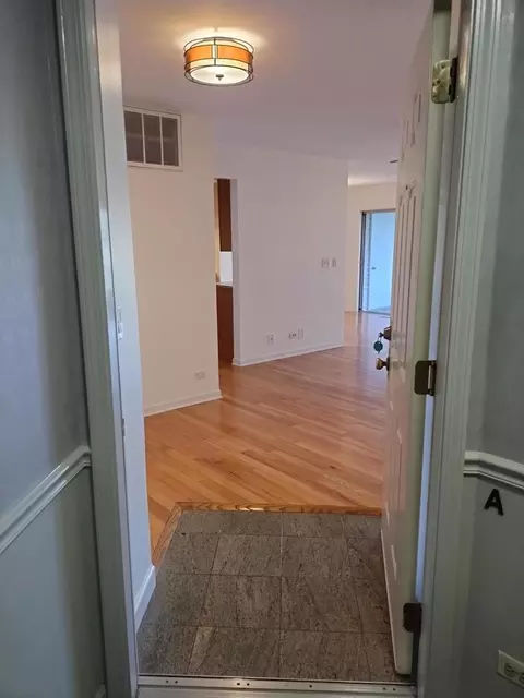 Entry Way - 1305 Nutmeg Ct #A, Mount Prospect, IL 60056 photo 3 of 4