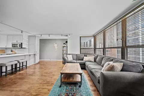 33 E Cedar St #6A, Chicago, IL 60611 photo 4