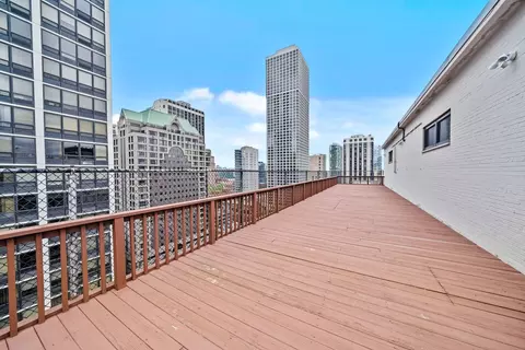 33 E Cedar St #6A, Chicago, IL 60611 photo 12