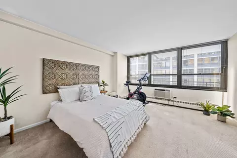 33 E Cedar St #6A, Chicago, IL 60611 photo 10