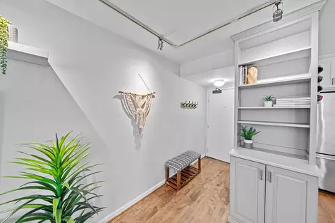 33 E Cedar St #6A, Chicago, IL 60611 photo 2