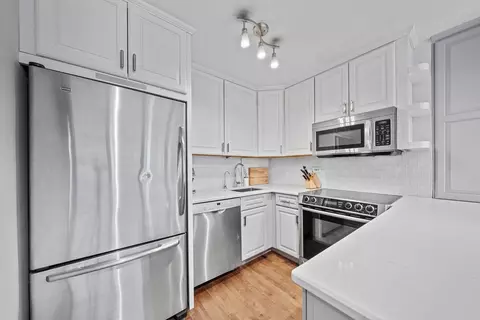 33 E Cedar St #6A, Chicago, IL 60611 photo 5