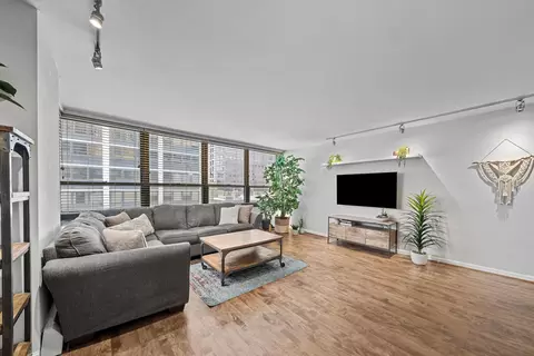 33 E Cedar St #6A, Chicago, IL 60611 photo 3
