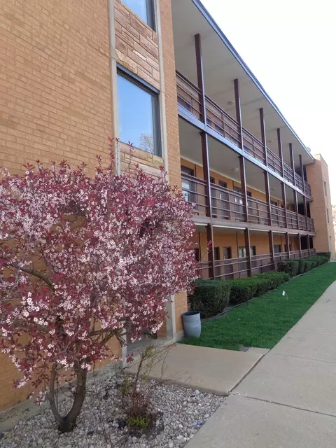 5901 N Naper Ave #1D, Chicago, IL 60631