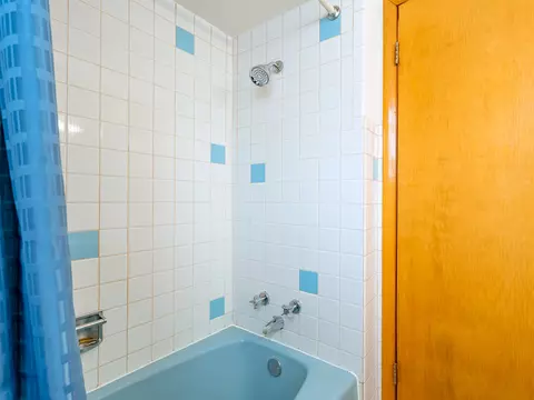 Bath - 2741 E 130th St, Chicago, IL 60633 photo 2 of 2
