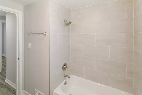 Bath - 111 N Irving Ave, Hillside, IL 60162 photo 2 of 3
