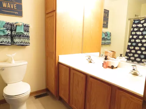Bath - 2014 Heatherstone Ct, Plainfield, IL 60586 photo 2 of 2