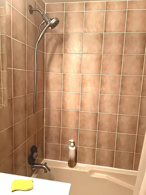 Bath - 9714 Bianco Ter #E, Des Plaines, IL 60016 photo 1 of 1