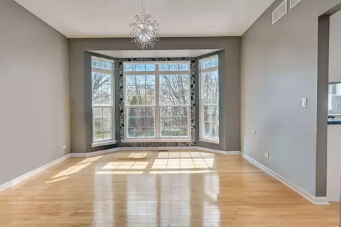 Other - 333 Millstream Ln, Oswego, IL 60543 photo 3 of 9