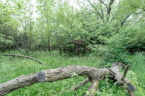 Exterior - 4505 Maple Ave, Matteson, IL 60443 photo 5 of 5