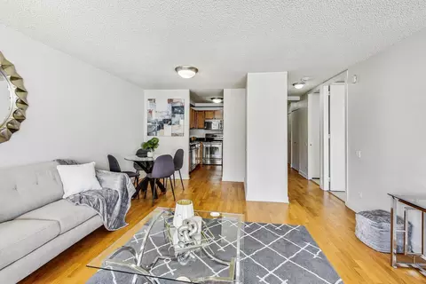 Other - 30 E Huron St #2101, Chicago, IL 60611 photo 3 of 7