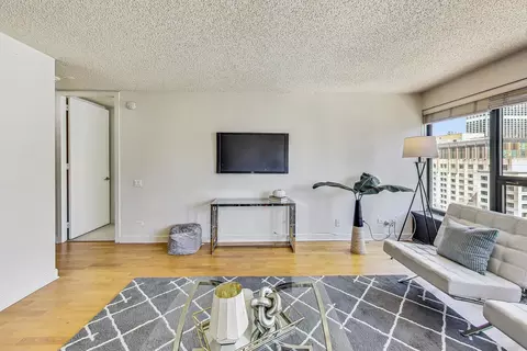 Other - 30 E Huron St #2101, Chicago, IL 60611 photo 2 of 7