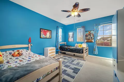 Bedroom - 25412 Springview Ct, Plainfield, IL 60544 photo 5 of 6