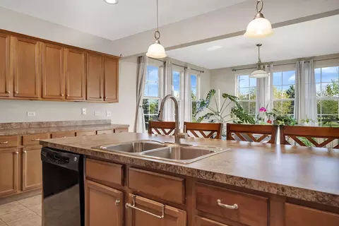 Kitchen - 25412 Springview Ct, Plainfield, IL 60544 photo 6 of 7