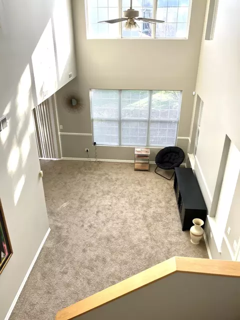 24172 Pear Tree Ct, Plainfield, IL 60585 photo 4