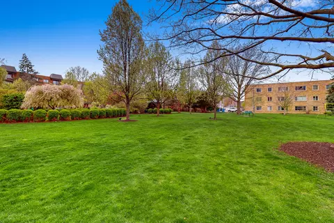 1591 E Thacker St #503, Des Plaines, IL 60016 photo 15